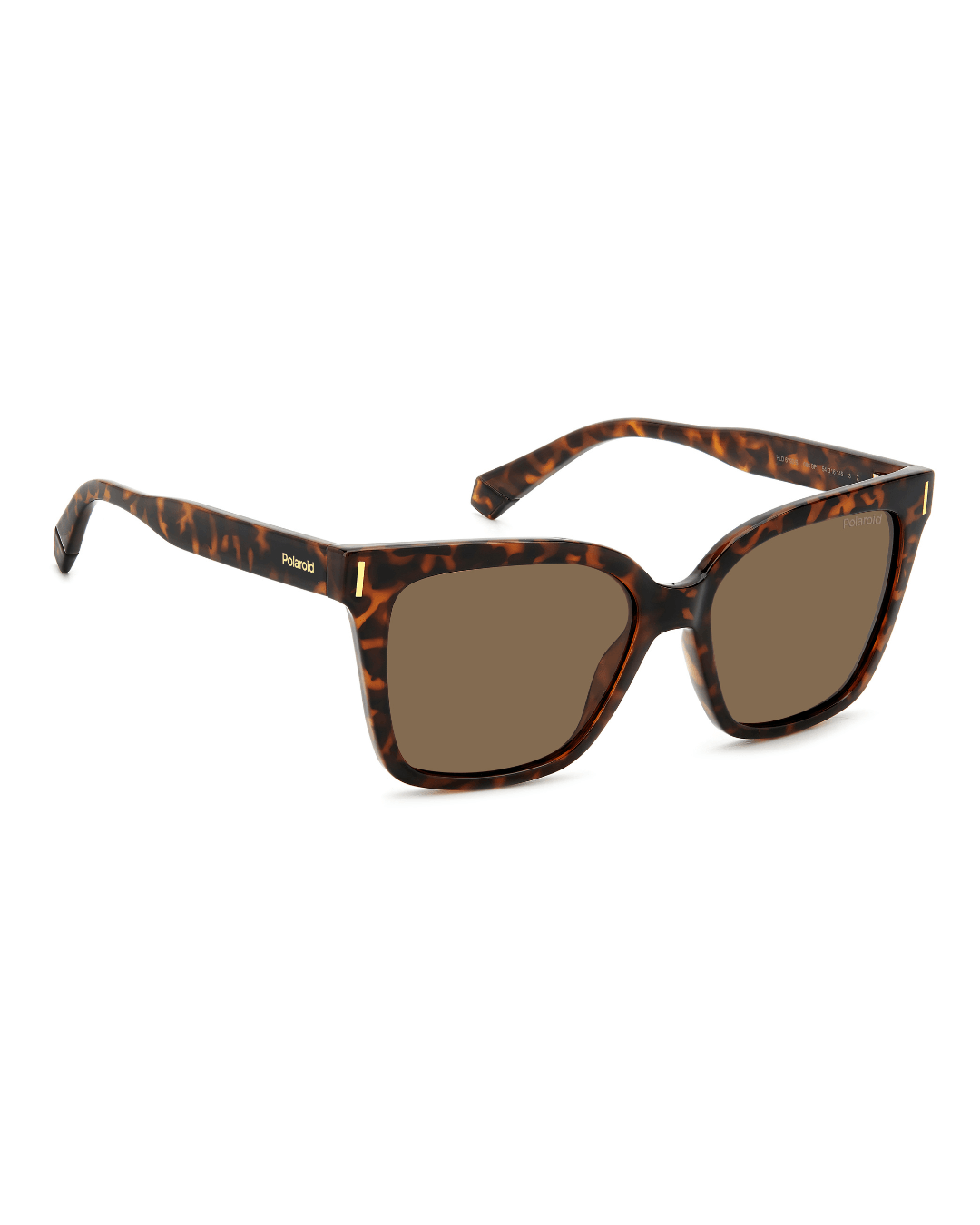 orenoptica-Polaroid PLD 6192/S 086