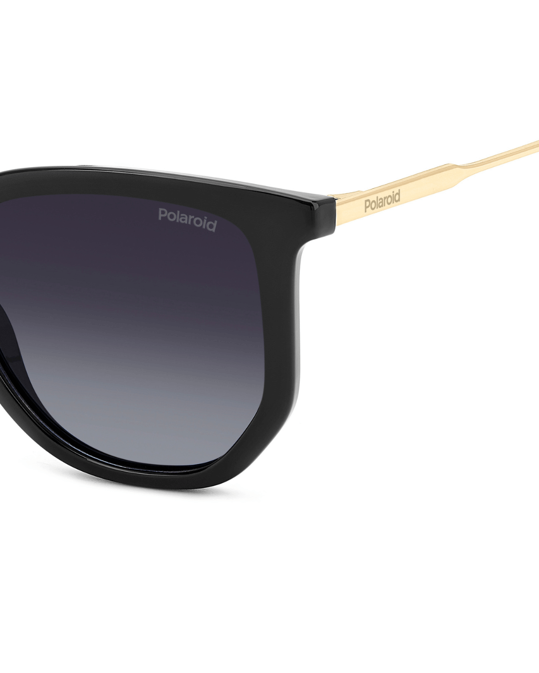 orenoptica-Polaroid PLD 4185/S/X 807