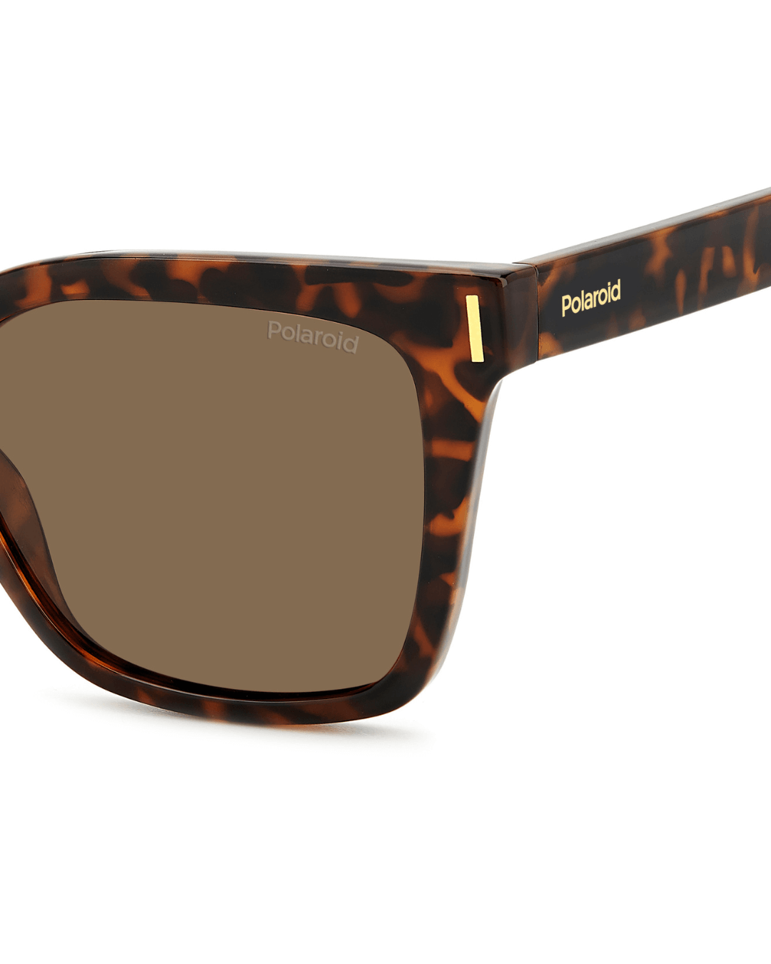 orenoptica-Polaroid PLD 6192/S 086