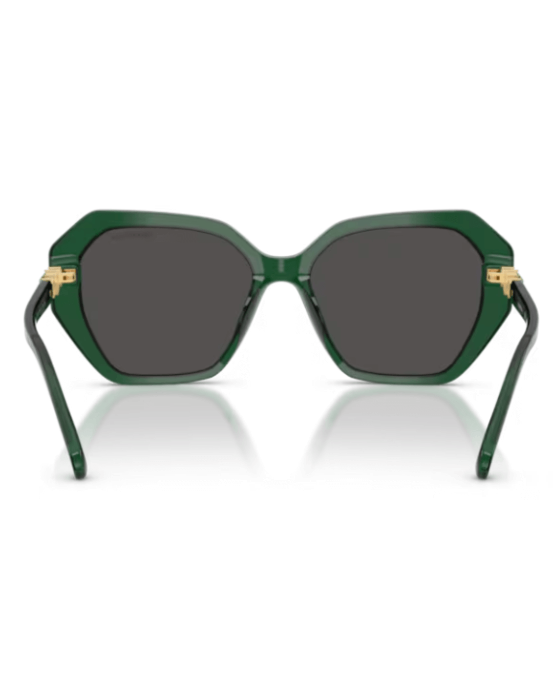 orenoptica-Swarovski SK6017 104587 (2) (1)